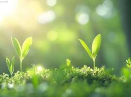 用实力坚持到胜利摄影展丨世界肺癌日特别策划