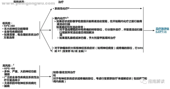 中枢神经系统肿瘤7516.png